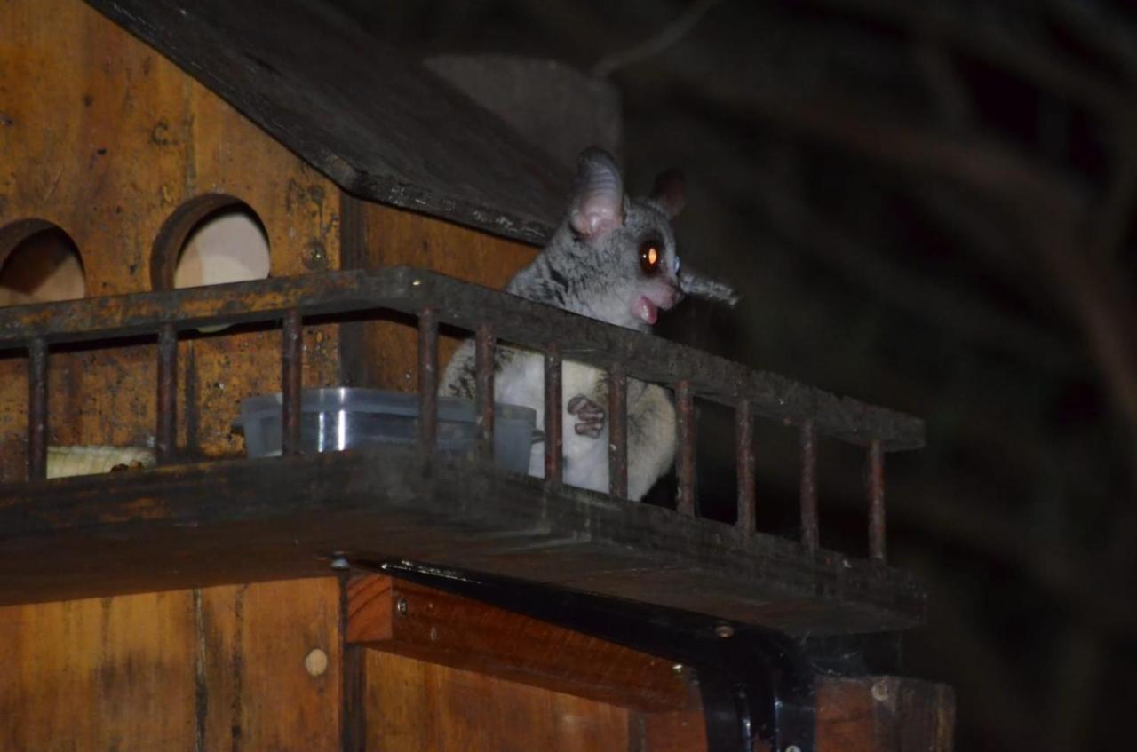 Kiburi Cottage @ Kruger Marloth Park Luaran gambar
